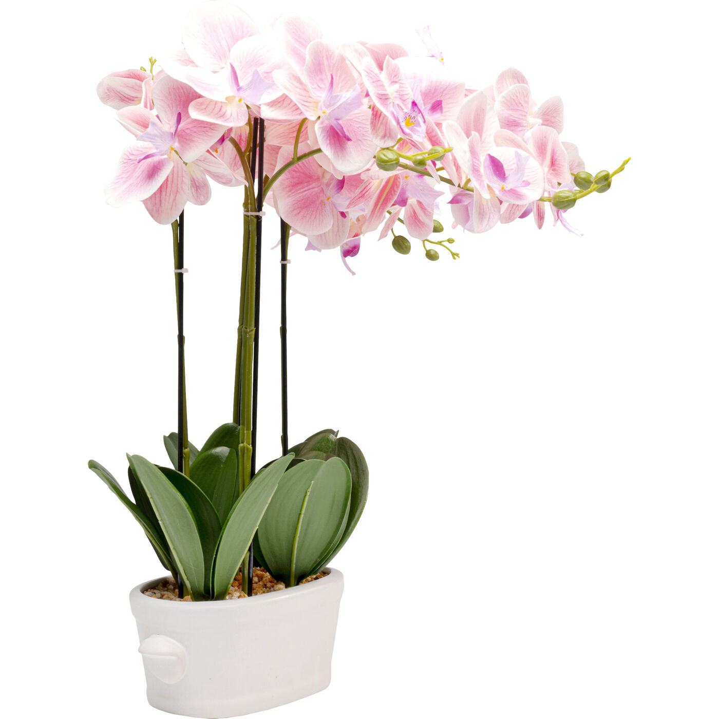 Растение декоративное Orchid Pod 55cm KARE 58350