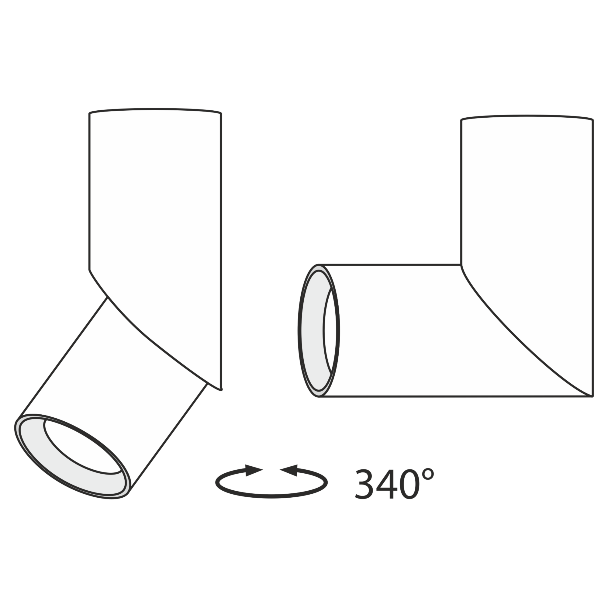 Потолочный светильник Maytoni C027CL-L10B