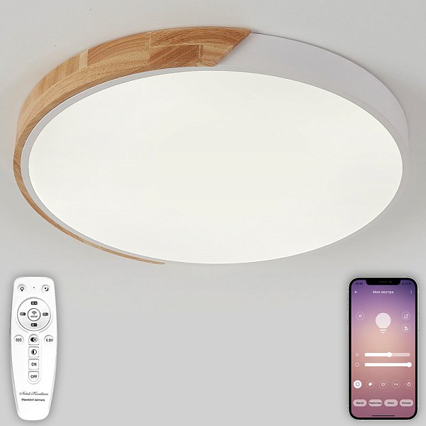 Накладной светильник Natali Kovaltseva LED LAMPS 81182