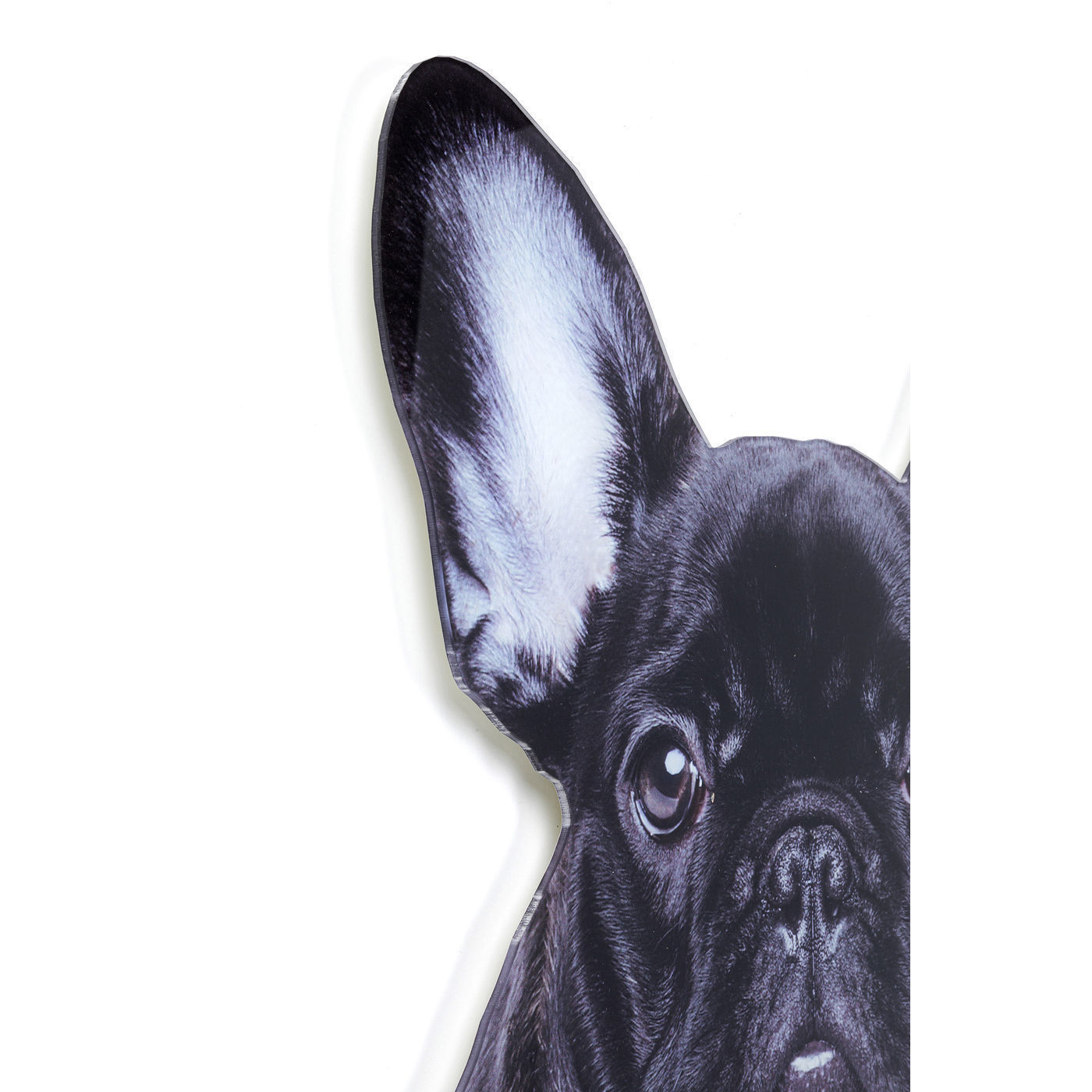 Украшение настенное Dog 52719 KARE