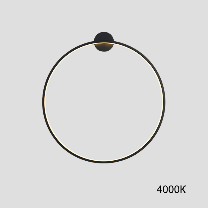 Настенный светильник GUARD B D60 4000К by ImperiumLoft