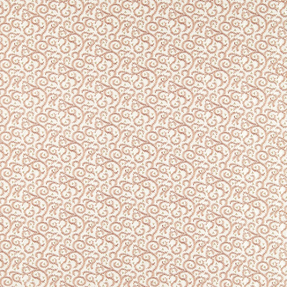 Текстиль Clarke & Clarke Indira F1809/04