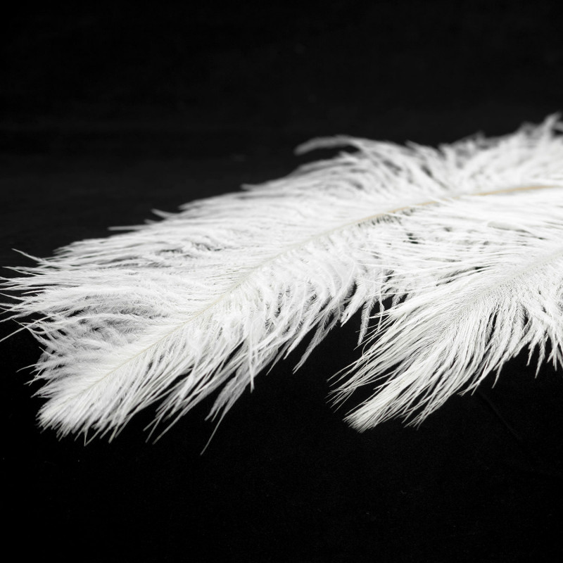 Подвесная люстра Lussole LSP-8601