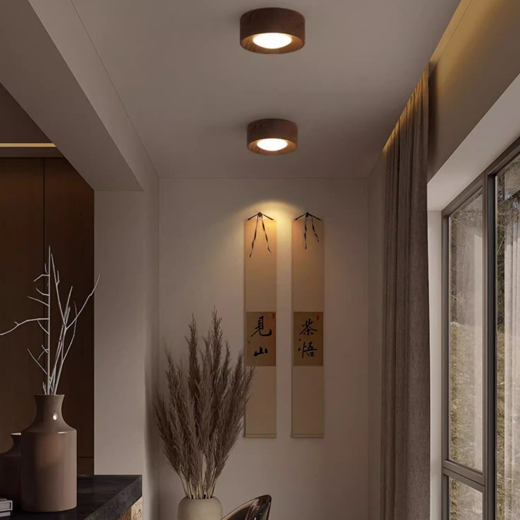 Точечный светильник WOODSPOT DARK Накладной by ImperiumLoft