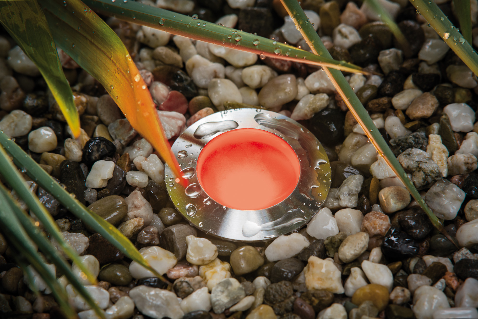 Настенный светильник Paulmann 93794