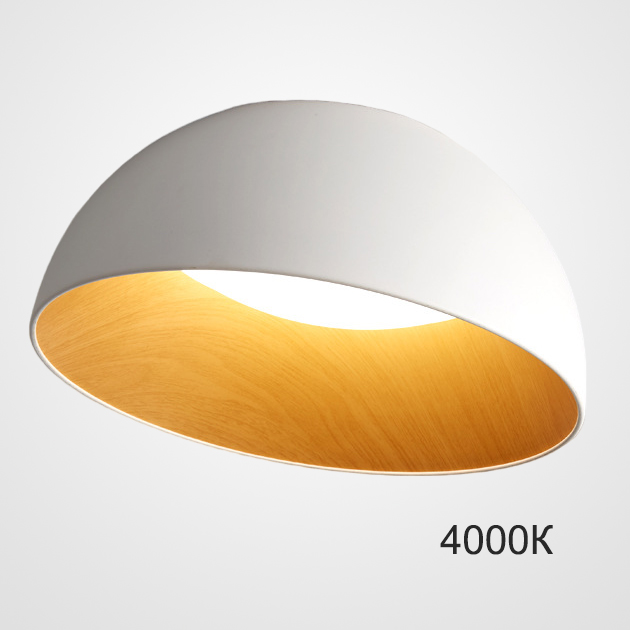 Потолочный светильник BARA A D50 White 4000К by ImperiumLoft