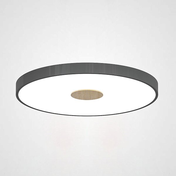 Потолочный светильник CENTRUM D40 Black by ImperiumLoft