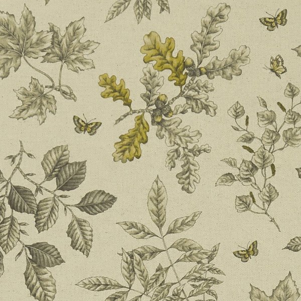 Текстиль Clarke &amp; Clarke Eden F1329/04