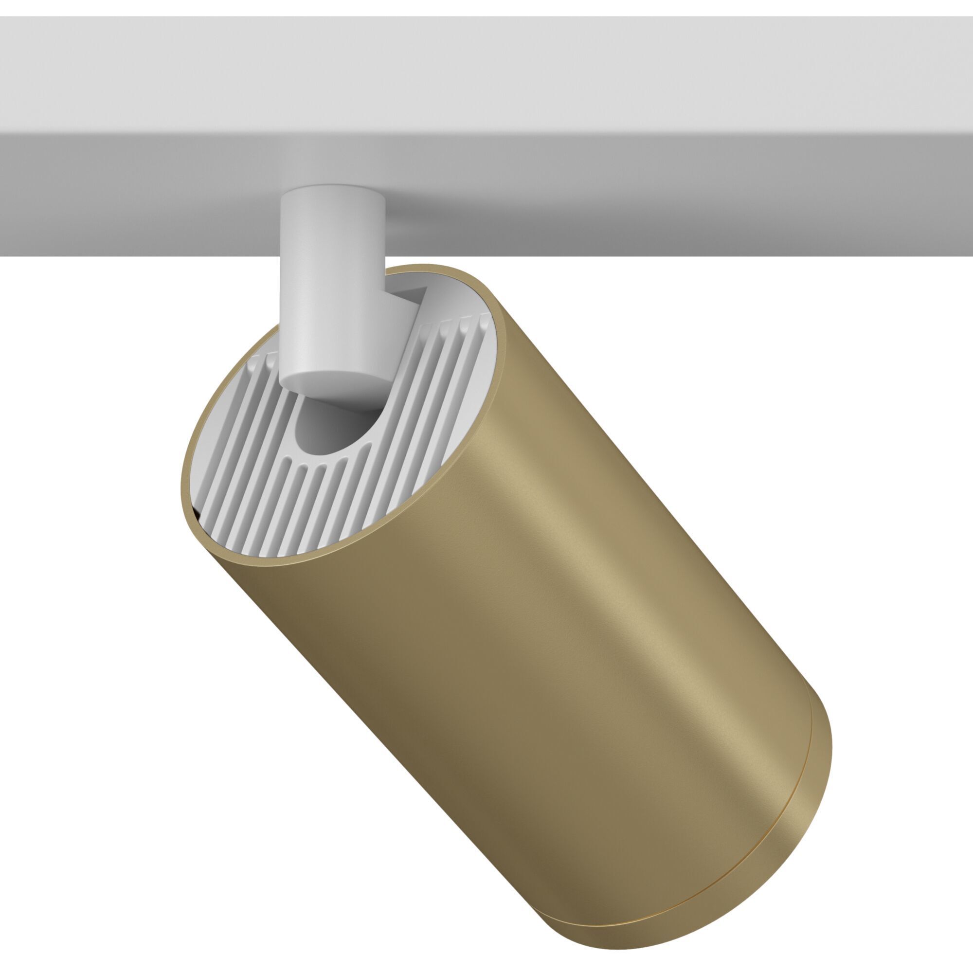 Потолочный светильник (Набор) Maytoni C051CL-2WMG