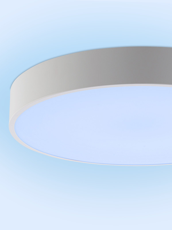 Накладной светильник Natali Kovaltseva LED LAMPS 81105/2C