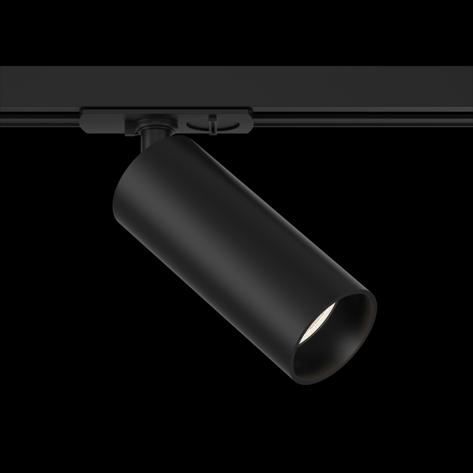 Трековый светильник Maytoni TR021-1-12B3K