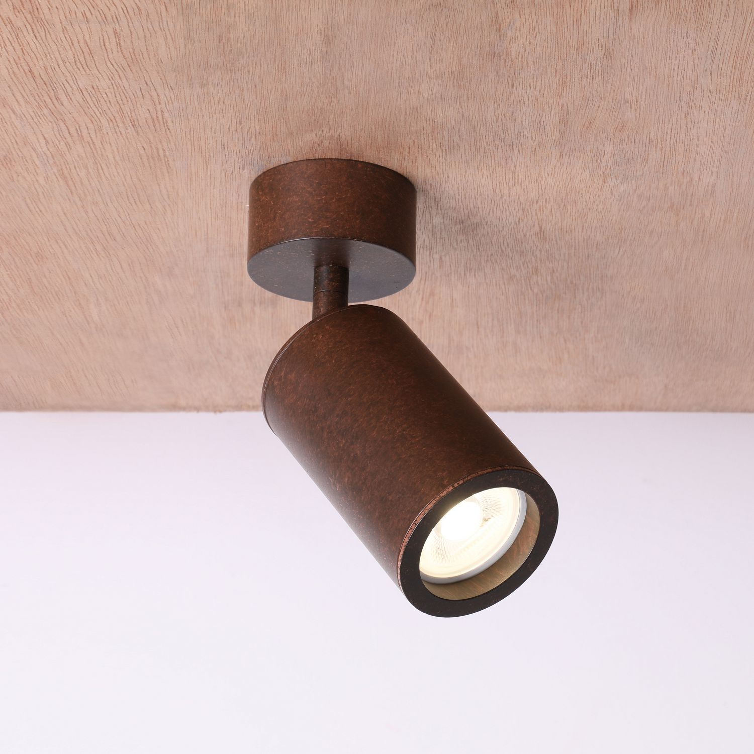 Потолочный светильник Favourite 2804-1U