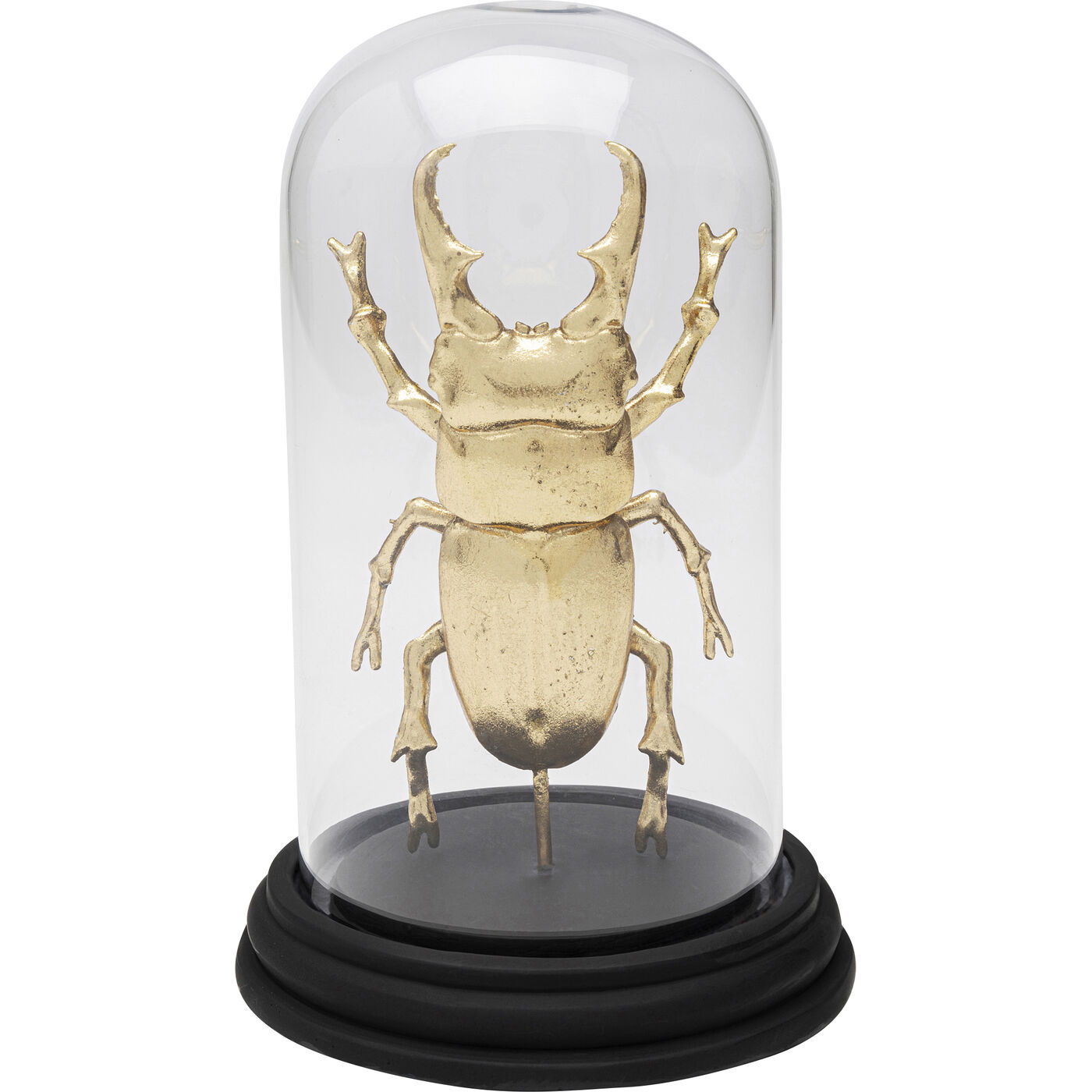 Объект декоративный Bell Jar Hercules Beetle 20cm KARE 57720