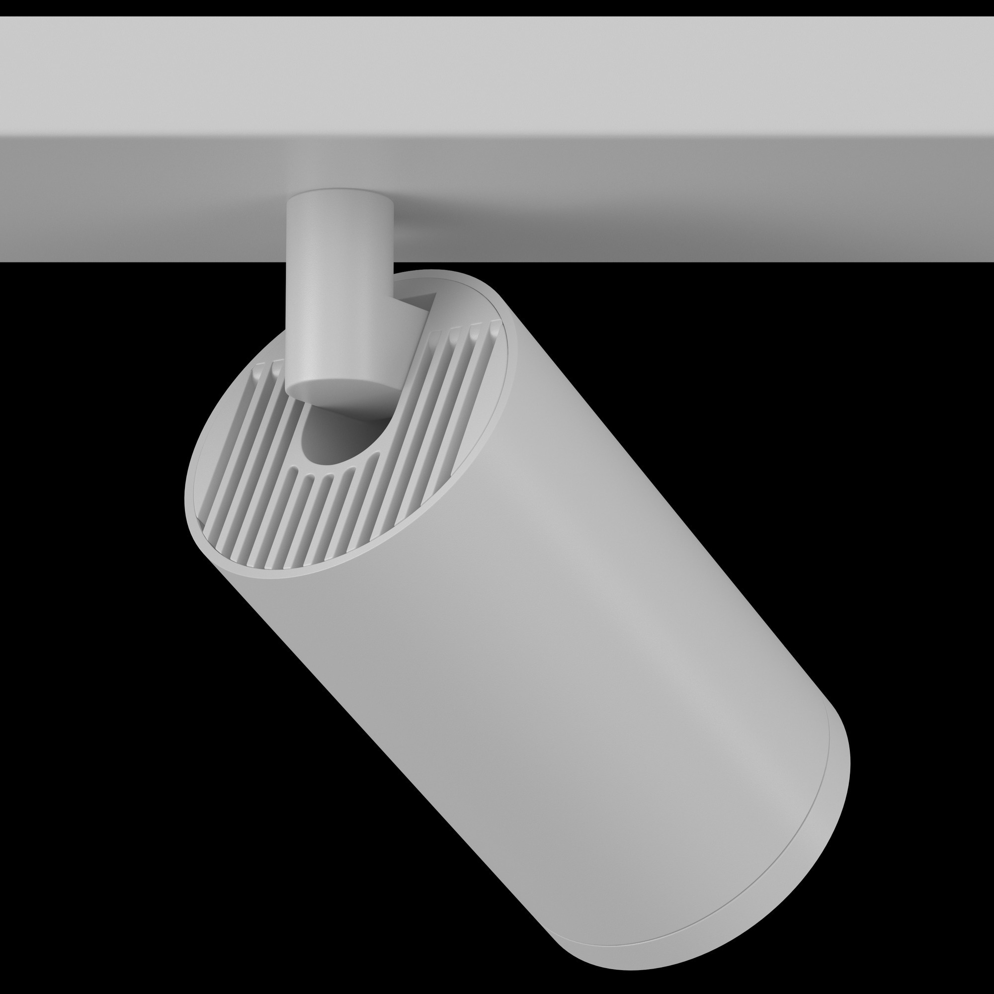 Потолочный светильник (Набор) Maytoni C051CL-2W