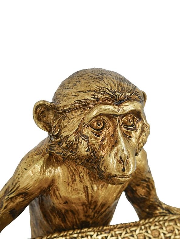 Блюдо в руках обезьяны Glasar 72433