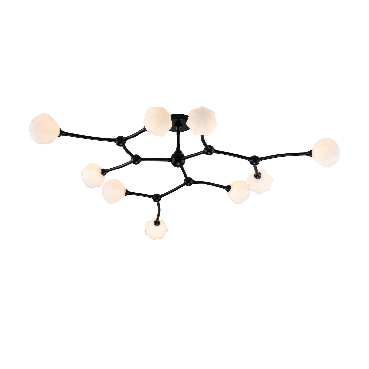 Потолочный светильник Favourite 2688-9P