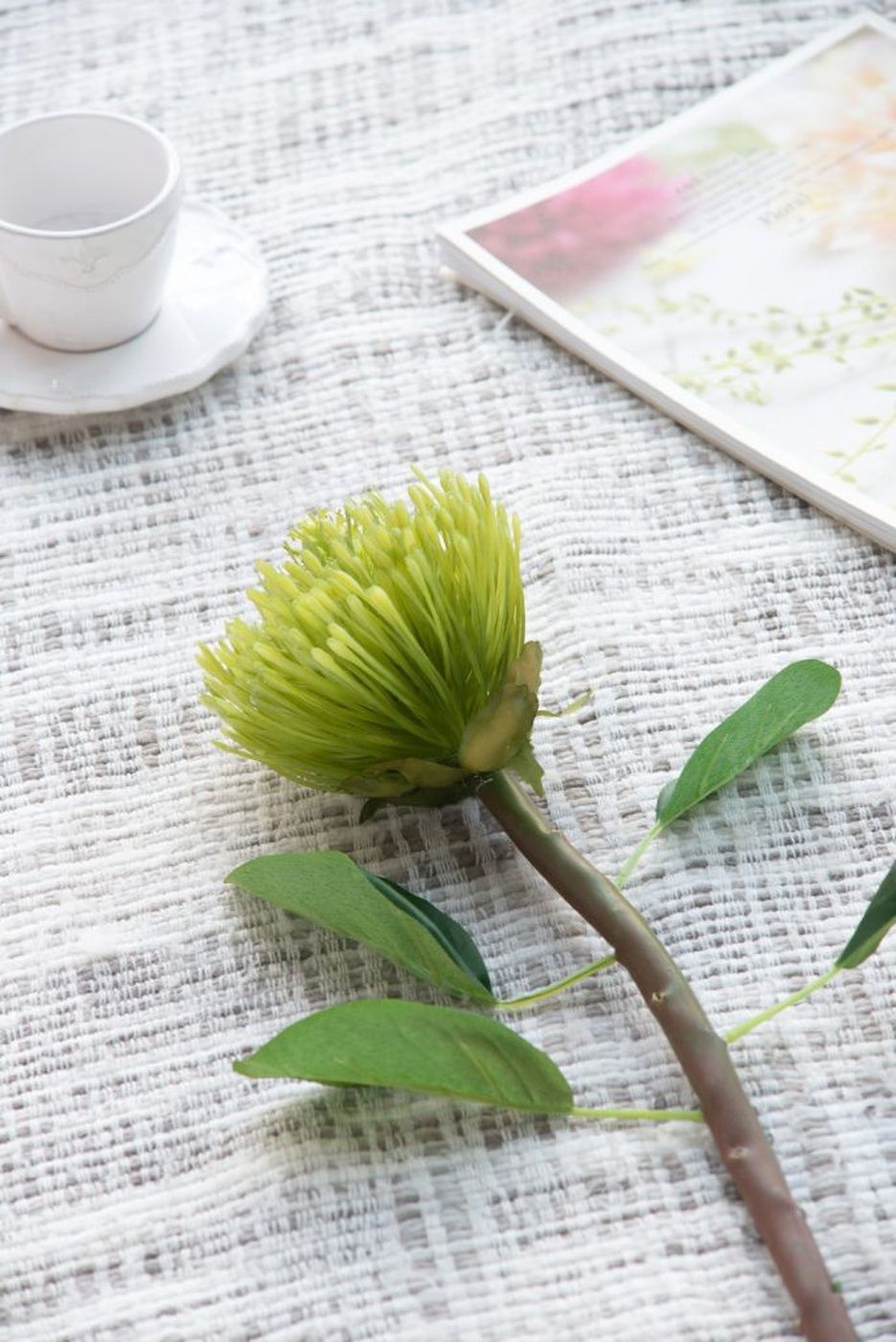 Растение декоративное Цветок Glasar 29632-GREE