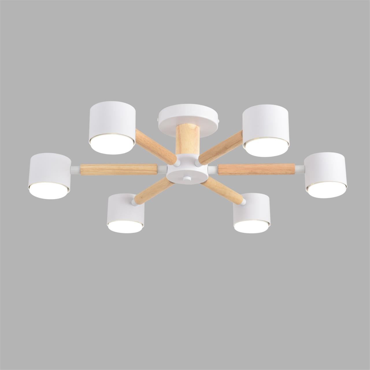 Светильник потолочный Lumion 8306/6C