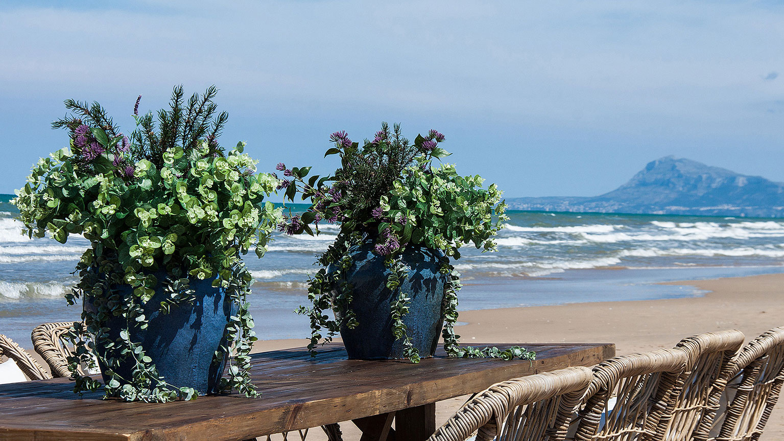 Ветка розмарина ROMERO Vical