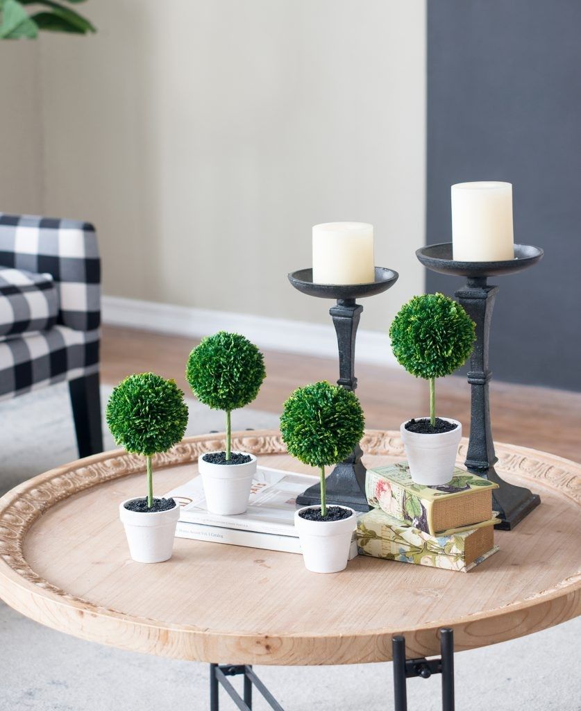 Растения декоративные Самшит, набор Glasar 29283