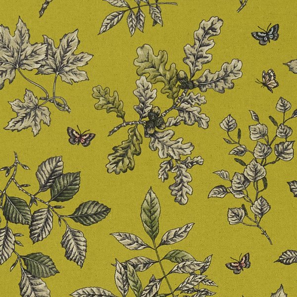Текстиль Clarke &amp; Clarke Eden F1329/03