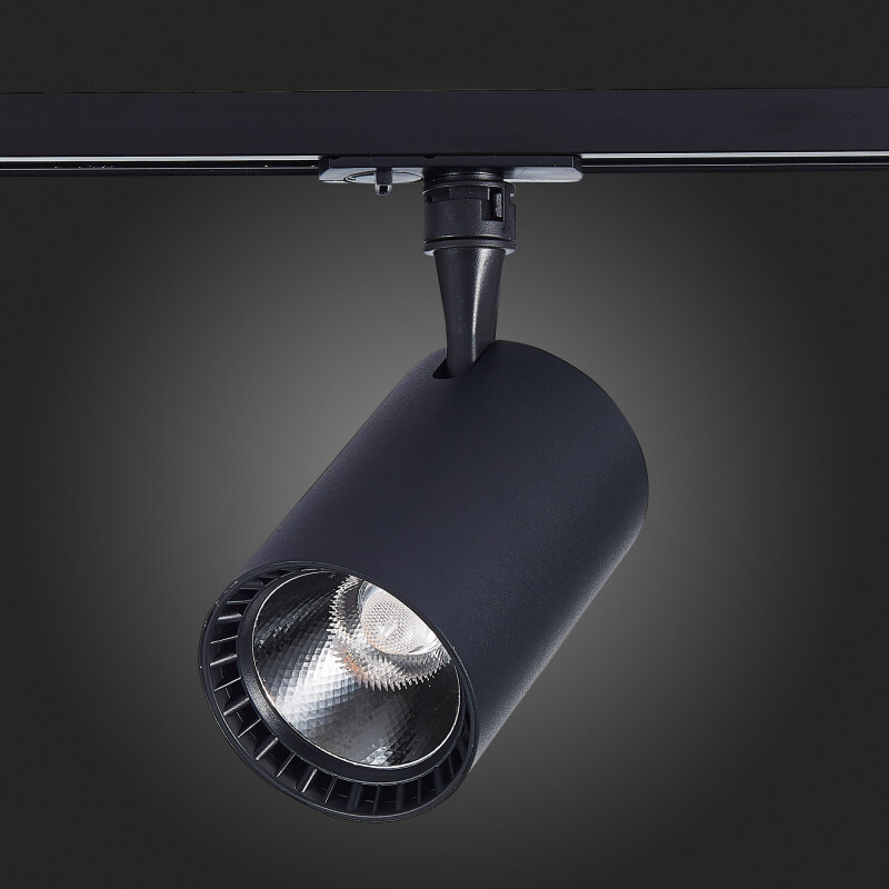 Светильник на шине ST Luce ST351.436.20.36