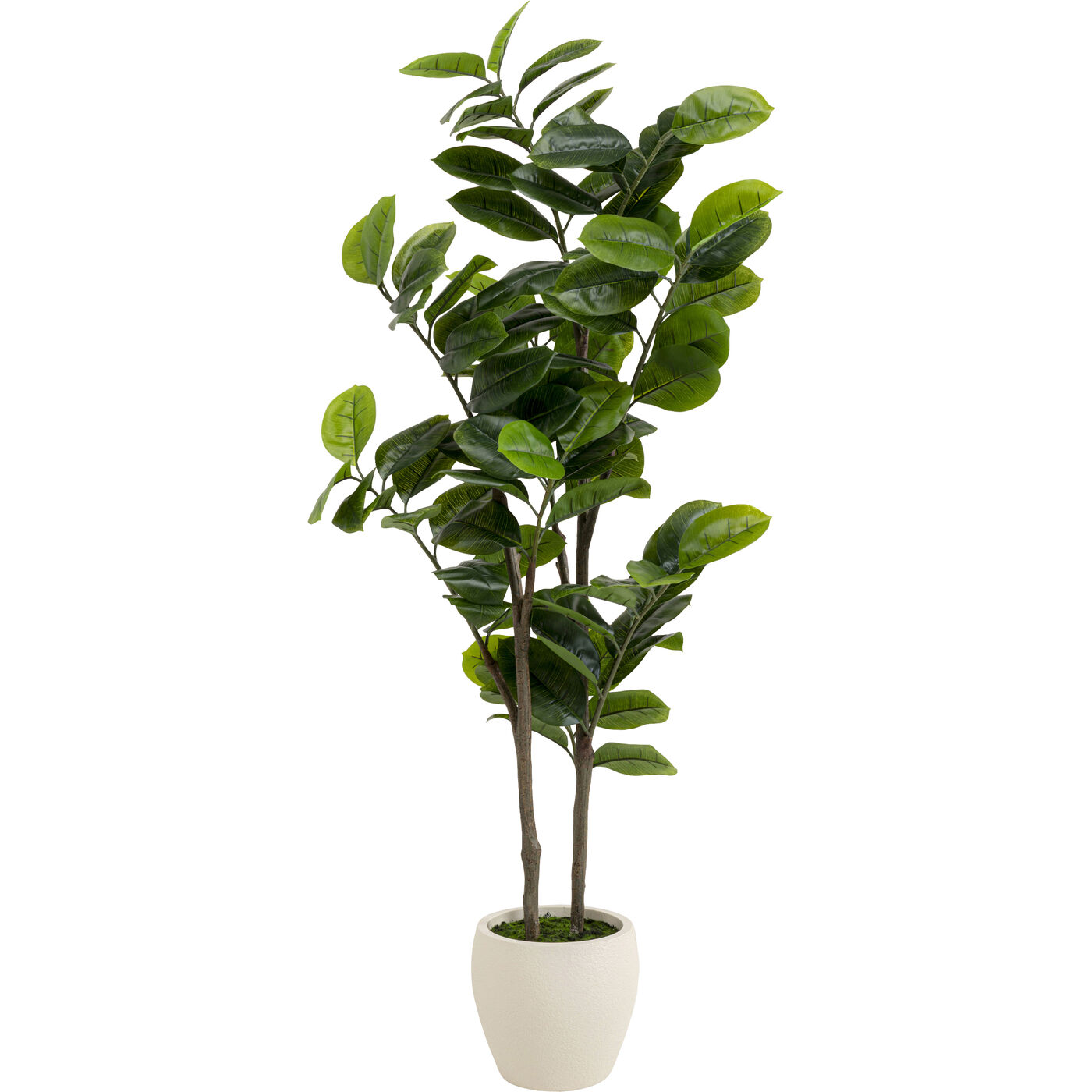 Растение декоративное Balata Tree 162cm KARE 58351