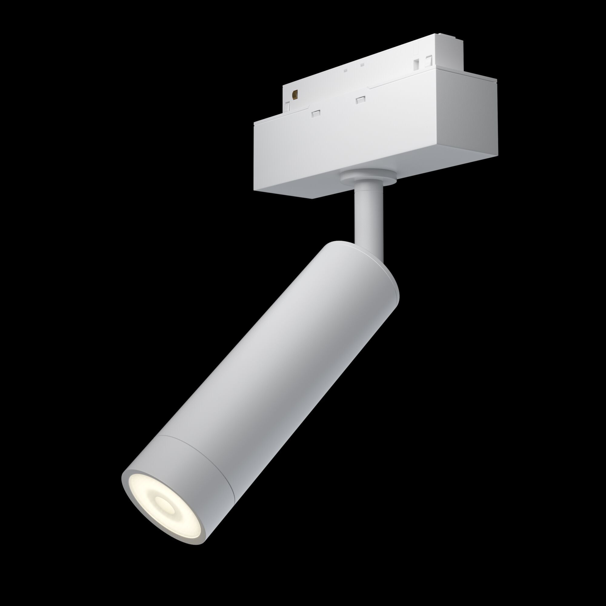 Трековый светильник Maytoni TR019-2-7W4K-W