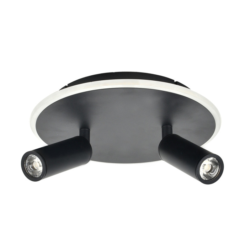 Накладной светильник Escada 20046SMA/02LED BK