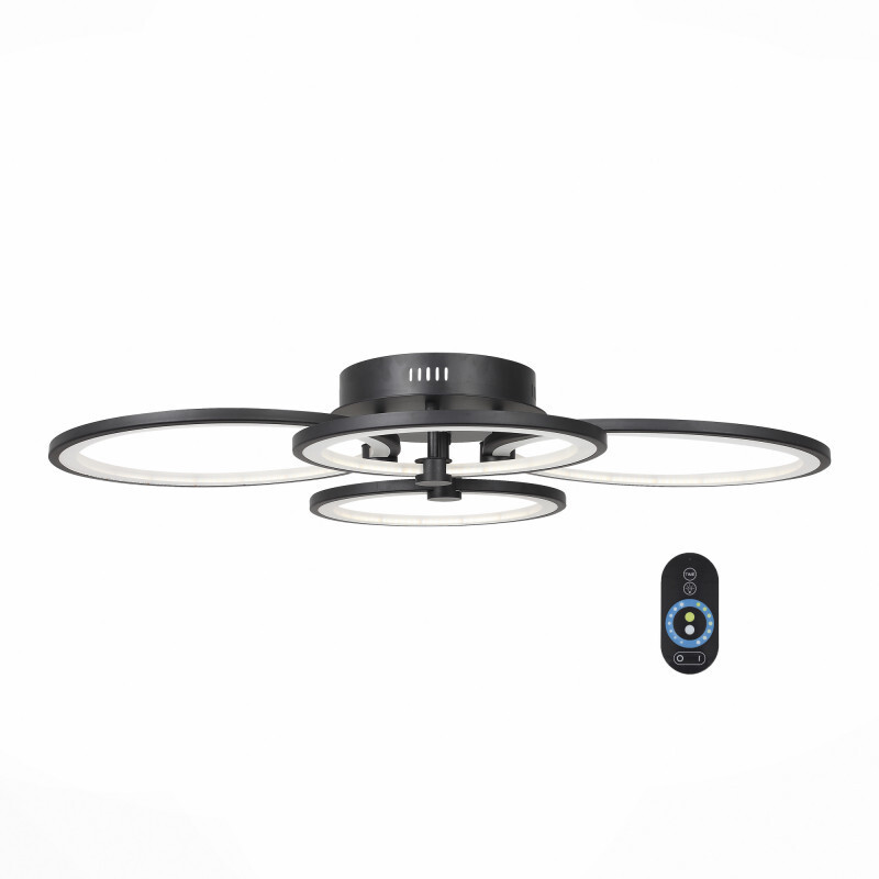 Накладной светильник ST Luce SL867.402.04