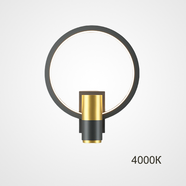 Настенный светильник DAGVEIG С Black 4000К by ImperiumLoft