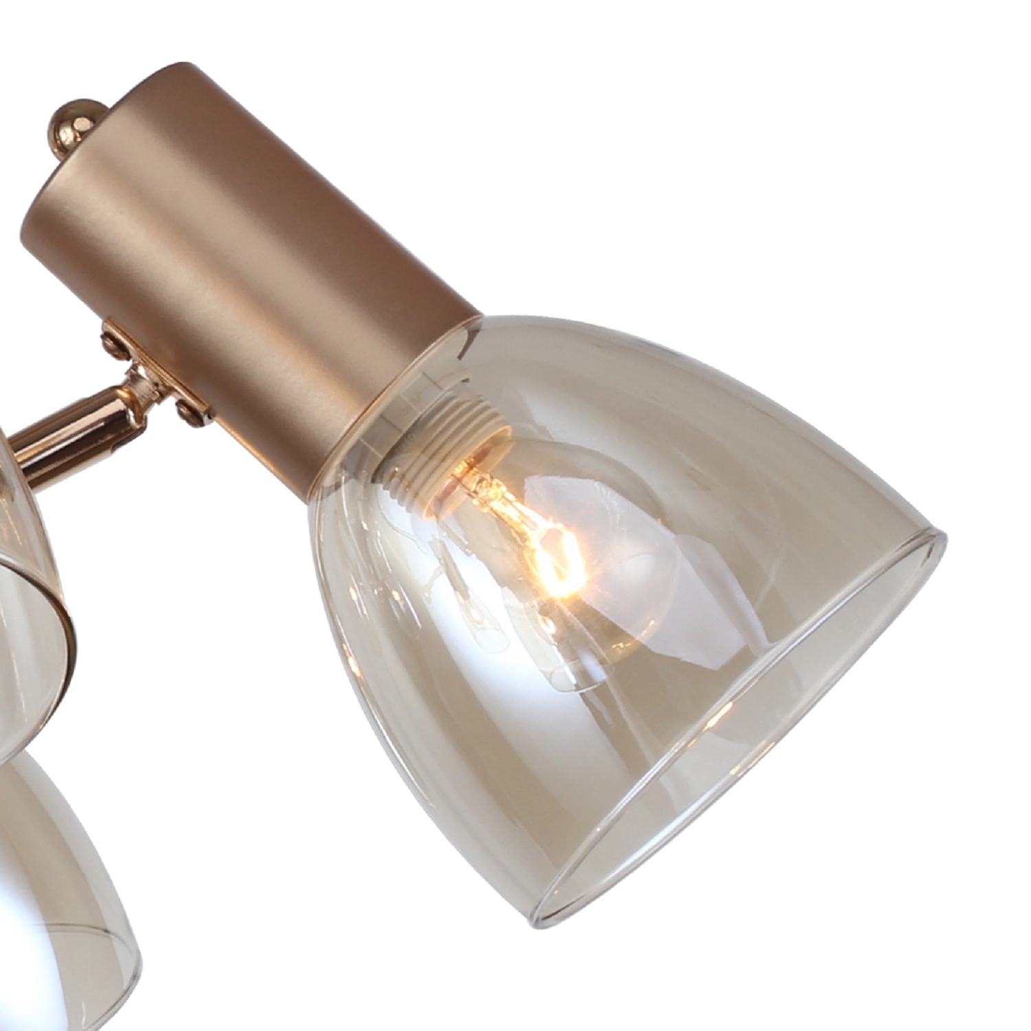 Потолочный светильник F-Promo 2660-6U