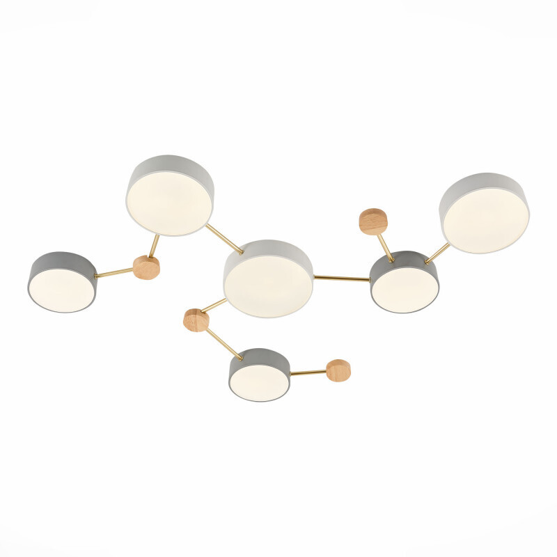 Накладной светильник Evoluce SLE600102-06