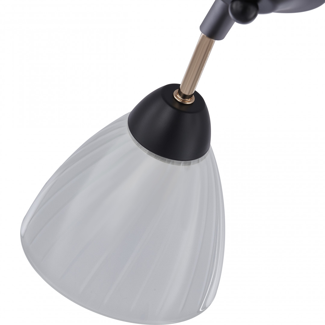 Люстра с плафонами 324108/5 BK+FG Arte Milano