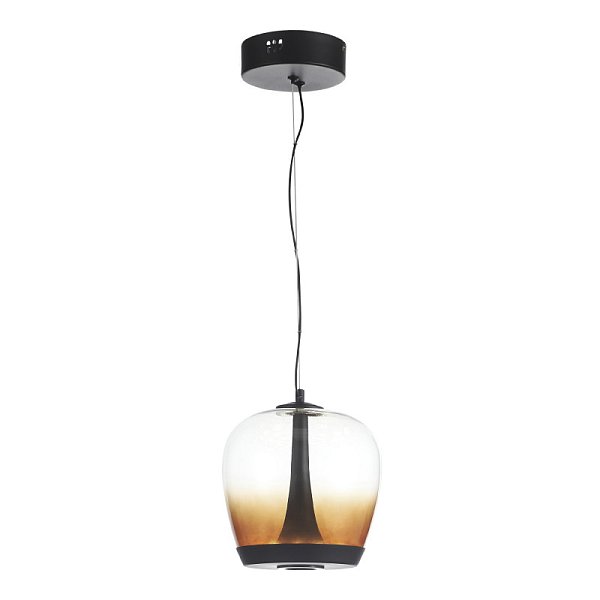 Подвесной светильник ST-Luce SL6014.413.01