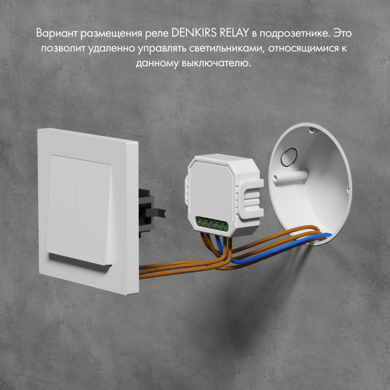Wi-Fi реле Denkirs RL1004-DM/1