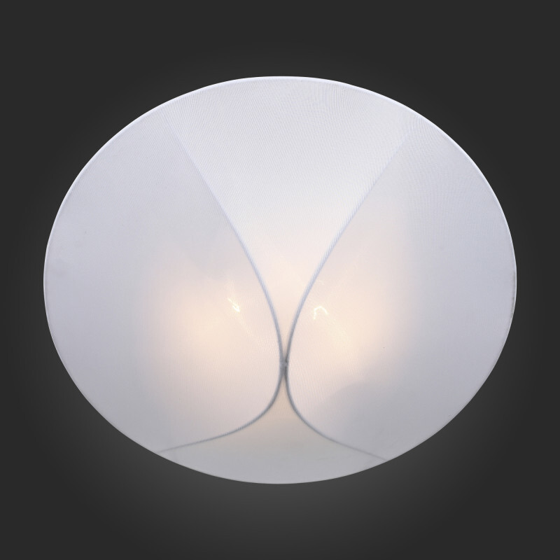 Накладной светильник ST Luce SL360.552.02