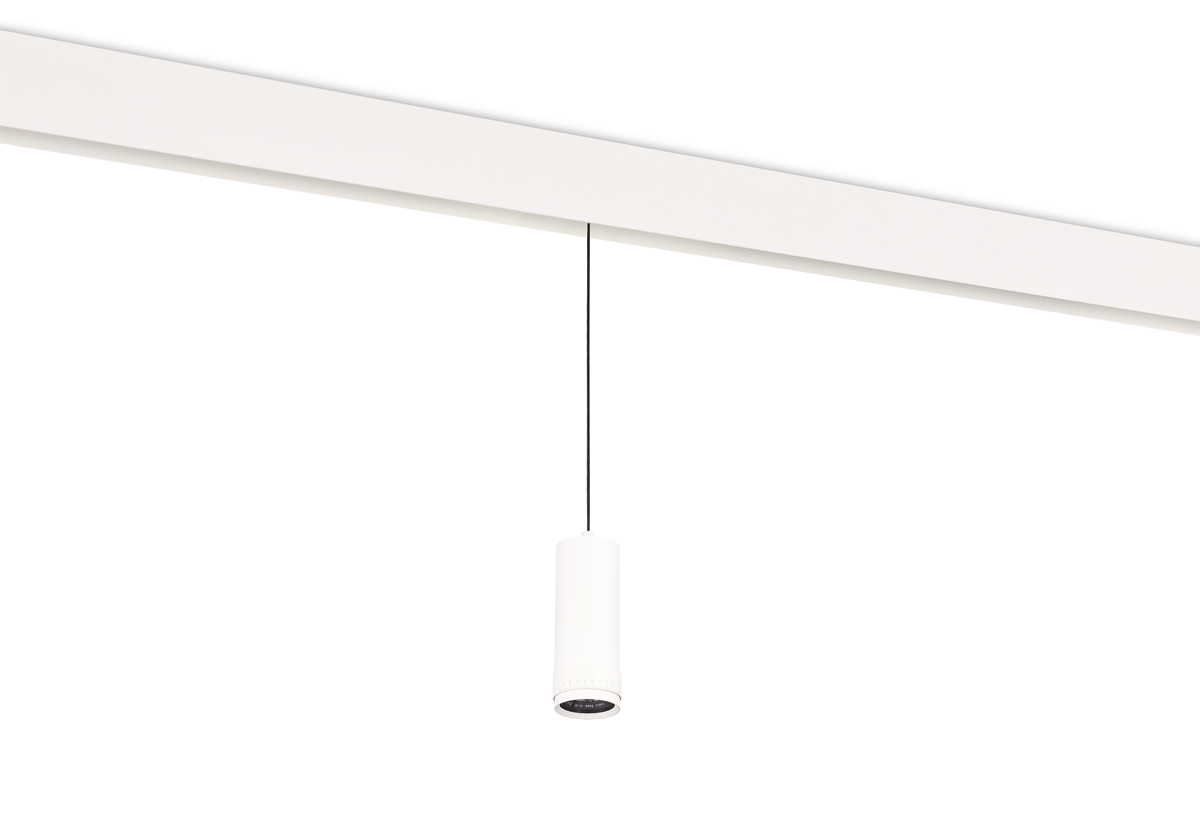 Светодиодный светильник Donolux DL20299WW10WS