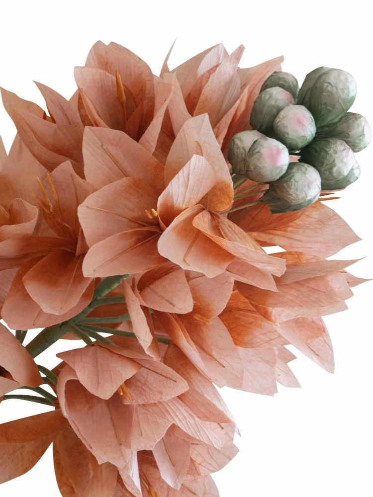 Растение декоративное Гиацинт Glasar F98606