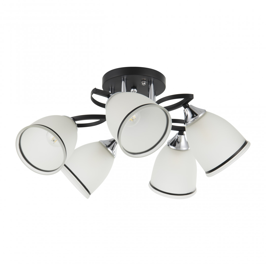 Люстра с плафонами 325885/5A BK+CR Arte Milano