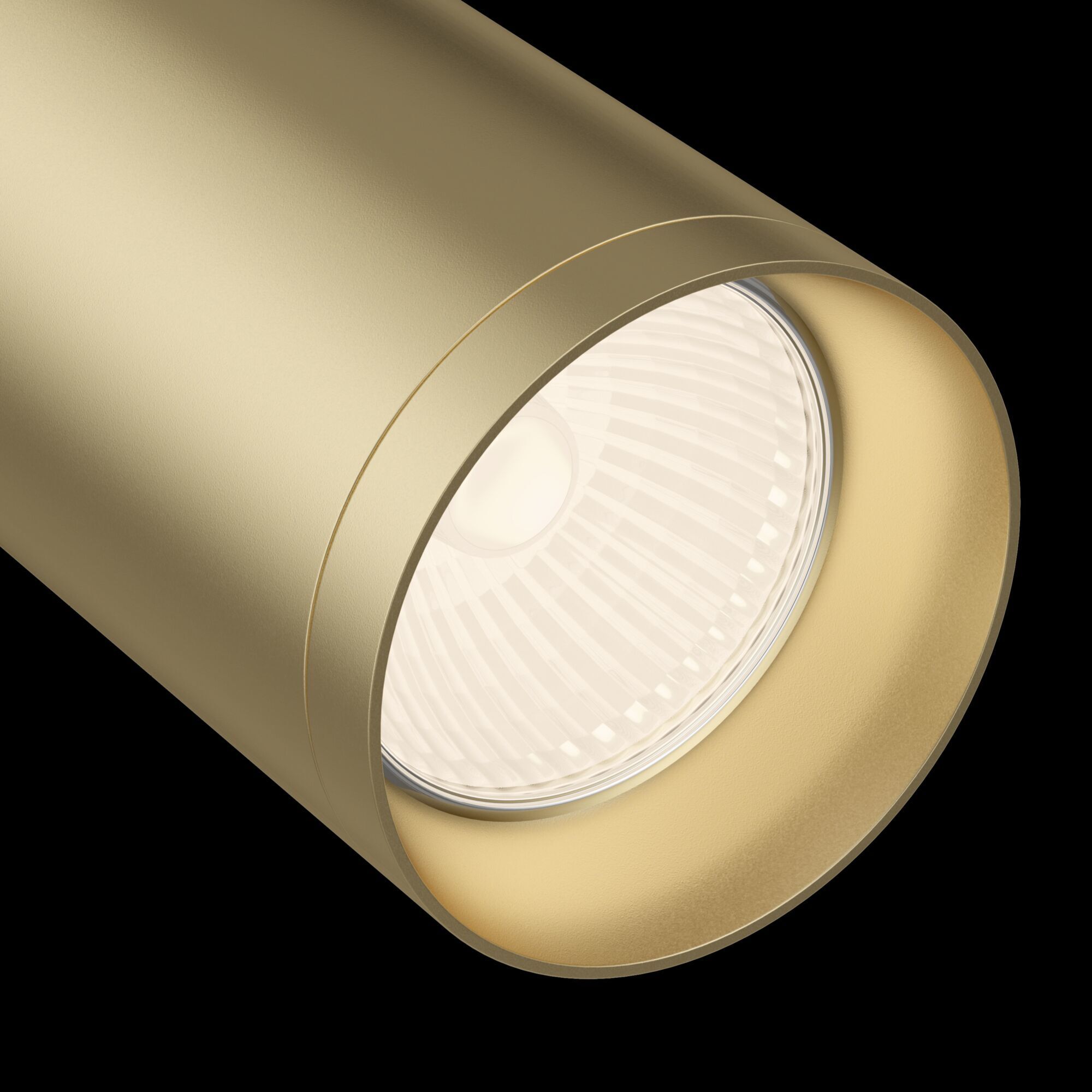 Трековый светильник Maytoni TR004-1-GU10-MG