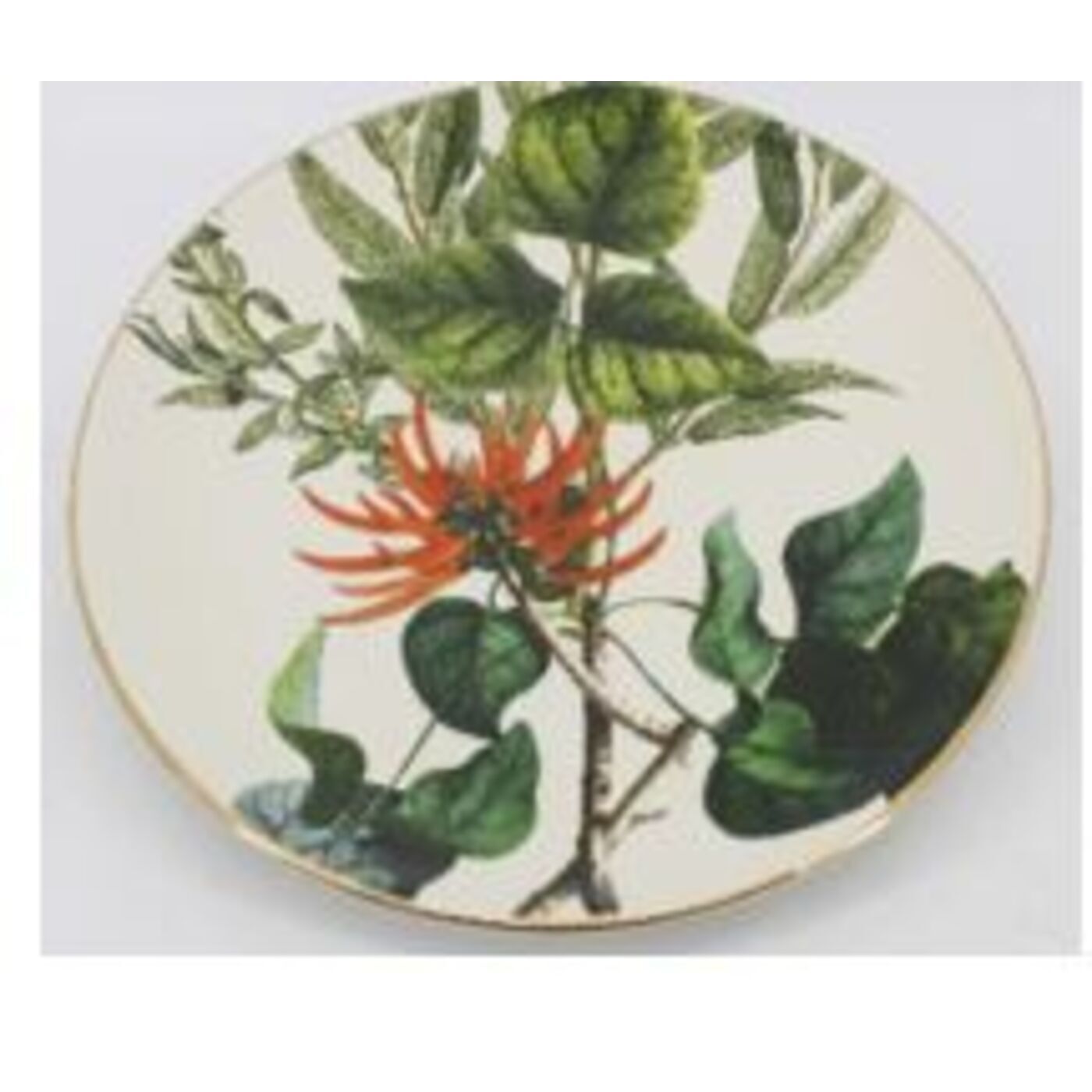 Тарелка KARE Monkey 55697