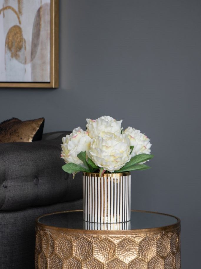 Растение декоративное Пион Glasar F4465-CREA