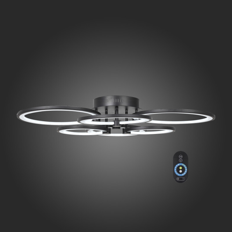 Накладной светильник ST Luce SL867.402.06