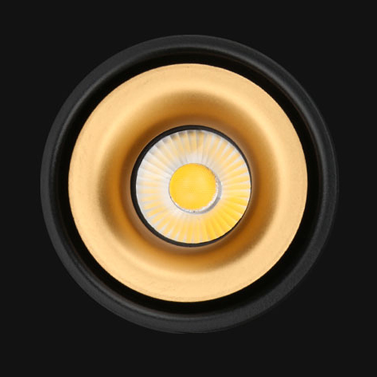 Потолочный светильник AGENDA White+Gold 7W by ImperiumLoft