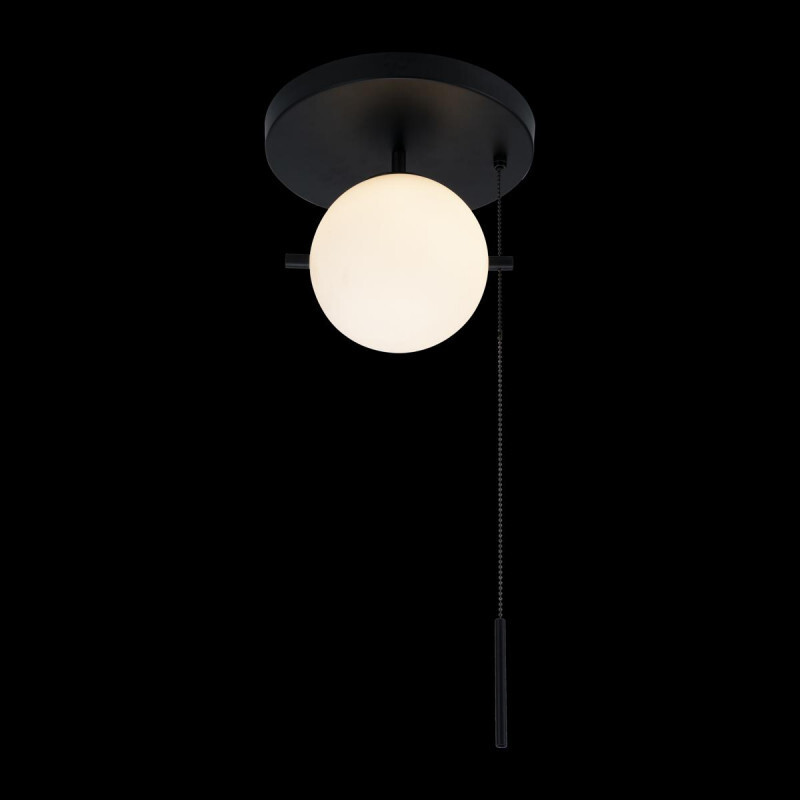 Накладной светильник LOFT IT 10029C Black