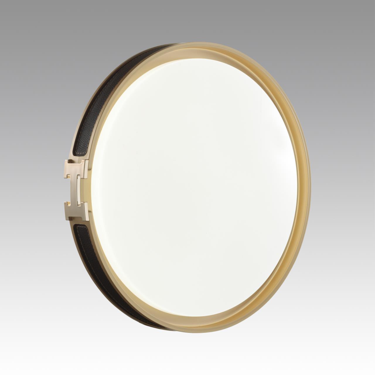 Настенно-потолочный светильник Sonex 7667/DL