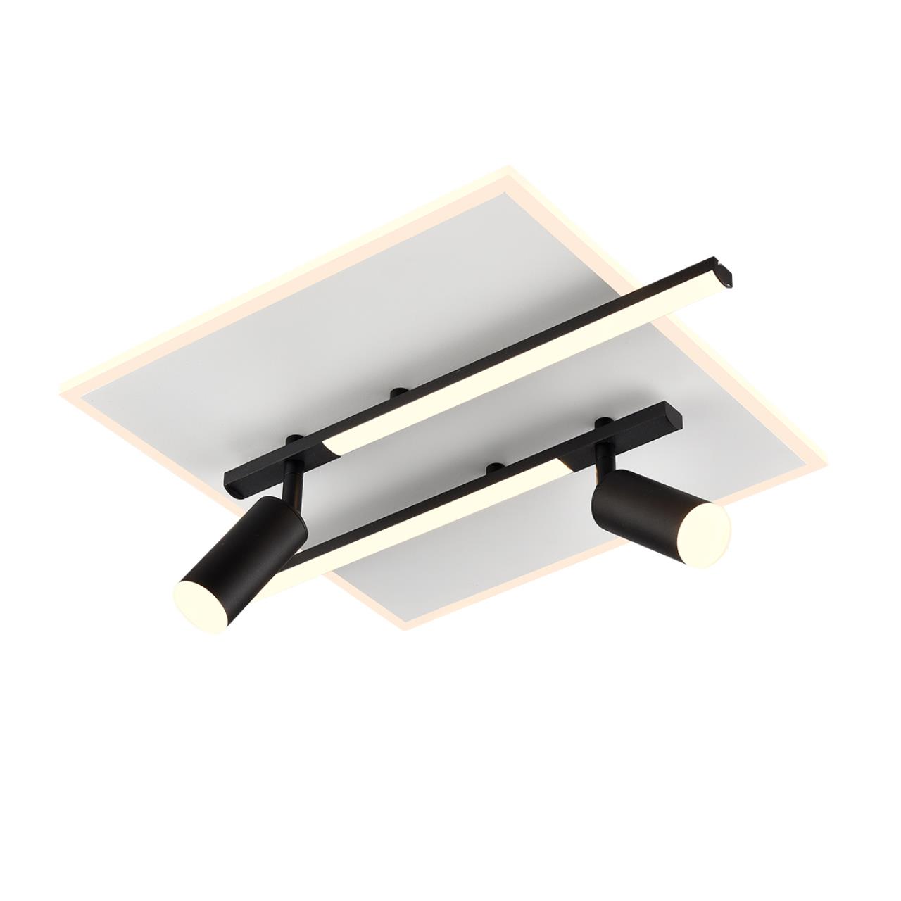 Светильник потолочный Lumion 8256/40CL