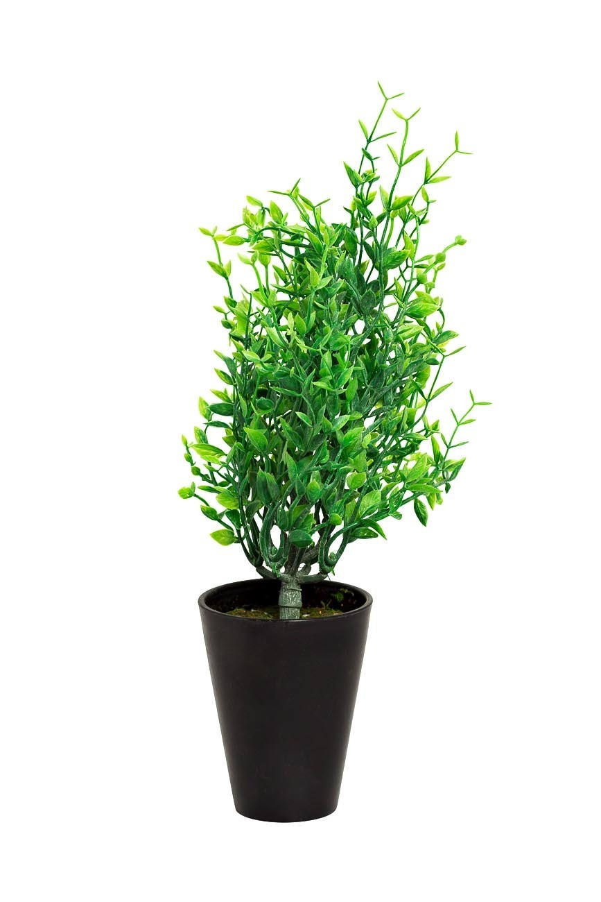 Иглица в горшке Garda Decor 8J-18CK0021