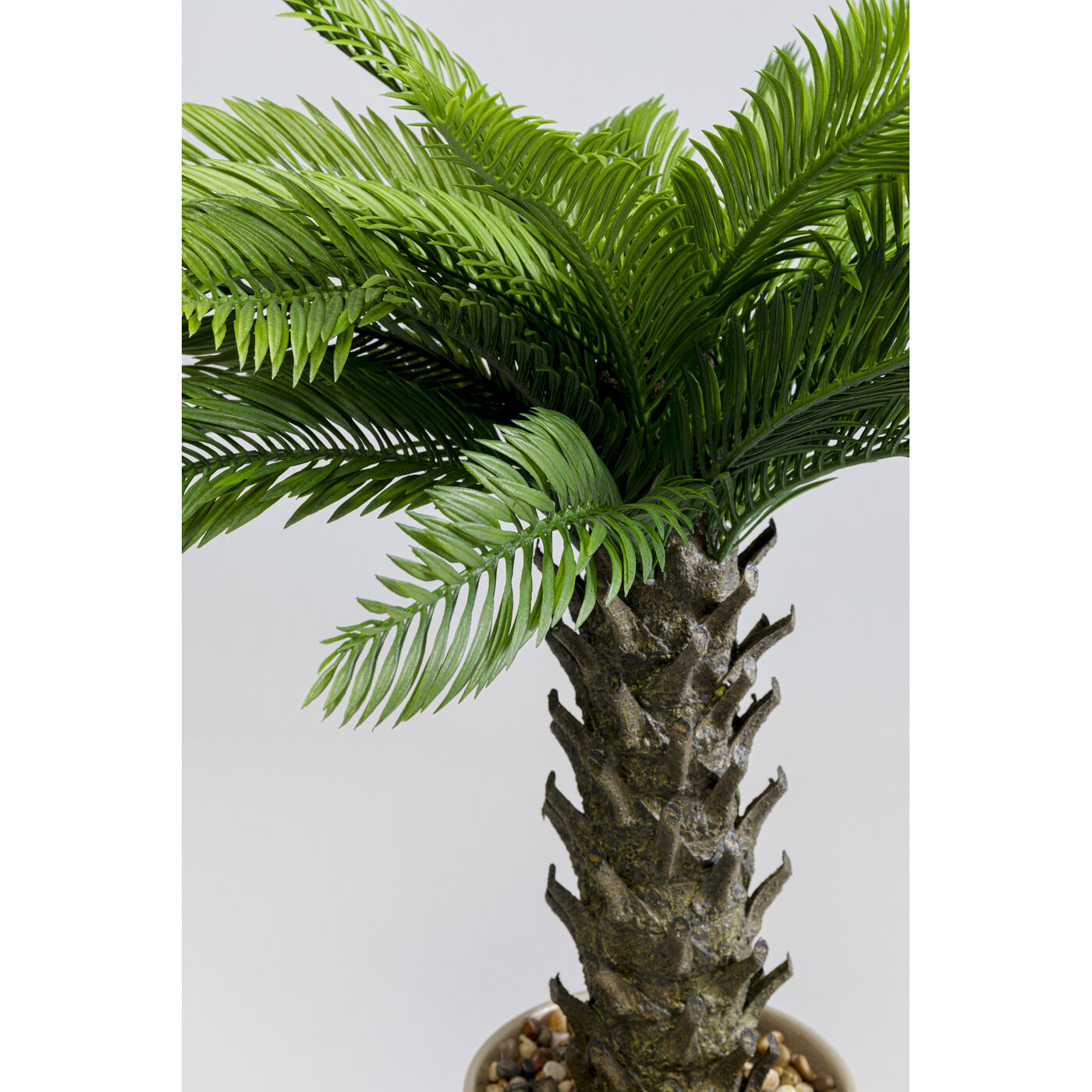 Растение декоративное Cycas 70 см KARE 55918